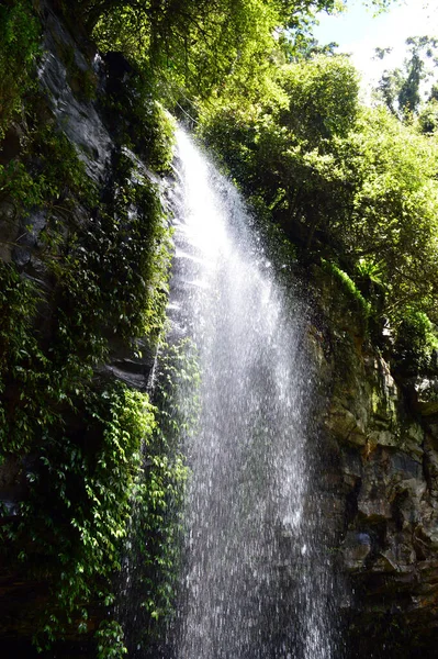 View Crystal Shower Falls Dorrigo National Park Waterfall Way Nsw — Stock Photo, Image