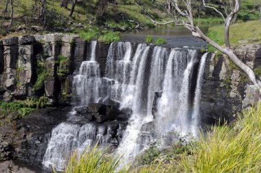 Guy Fawkes Ulusal Parkı, NSW 'da Ebor Falls' un üst kısmının manzarası.