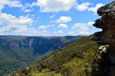 Avusturalya 'nın Mavi Dağları' ndaki Hughns Rock 'tan Jamison Vadisi' ne bir manzara