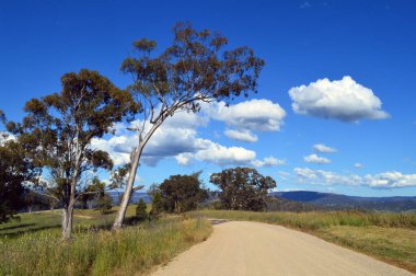 Hartley yakınlarındaki Yeni Güney Galler kırsalında bir toprak yol.