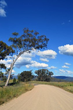 Hartley yakınlarındaki Yeni Güney Galler kırsalında bir toprak yol.