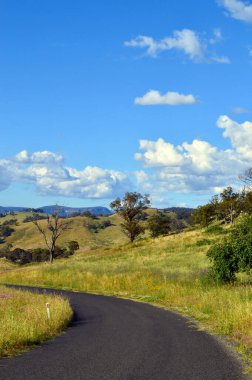 Coxs River Road Hartley, New South Wales, Avustralya yakınlarındaki kırsal alandan geçiyor.