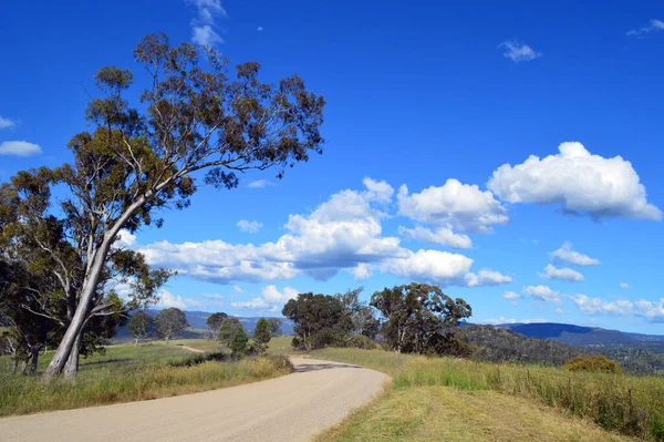 Hartley Yakınlarındaki Yeni Güney Galler Kırsalında Bir Toprak Yol — Stok fotoğraf