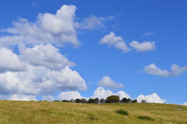 Avustralya 'nın kırsal kesiminde yuvarlanan bir yamaç. 