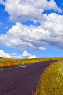 Avustralya, Yeni Güney Galler 'de Hartley yakınlarındaki Coxs River Road manzarası