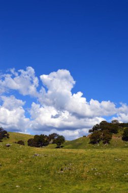 Hartley, NSW, Avustralya yakınlarındaki Coxs River Road 'da yuvarlanan bir tepe.