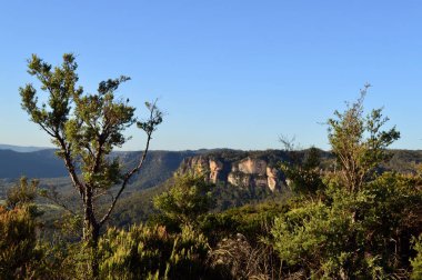 Avustralya 'nın Mavi Dağları' ndaki Blackheath 'deki Shipley Platosu' nun manzarası.