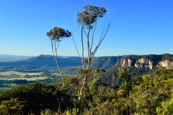 Blick Ins Tal Shipley Plateau Den Blue Mountains Australiens — Stockfoto
