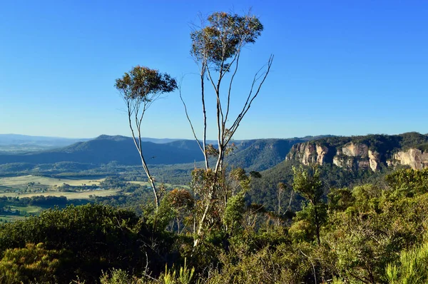 Avustralya 'nın Mavi Dağları' ndaki Shipley Platosu 'ndaki vadiye bir manzara.