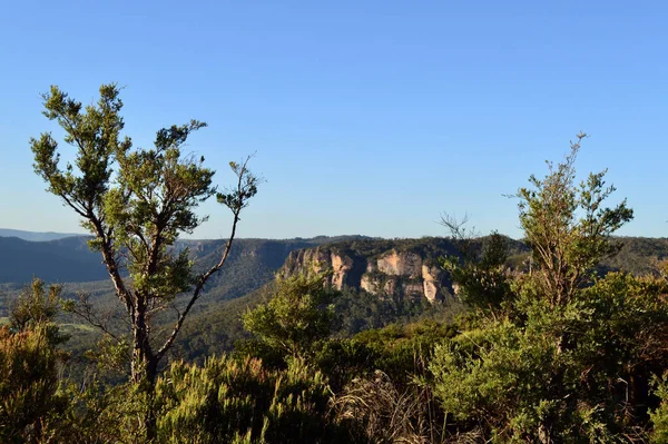 Avustralya 'nın Mavi Dağları' ndaki Blackheath 'deki Shipley Platosu' nun manzarası.