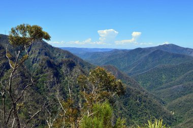 Avustralya, Yeni Güney Galler 'deki Kanangra Duvarları' ndan vadiye bir manzara