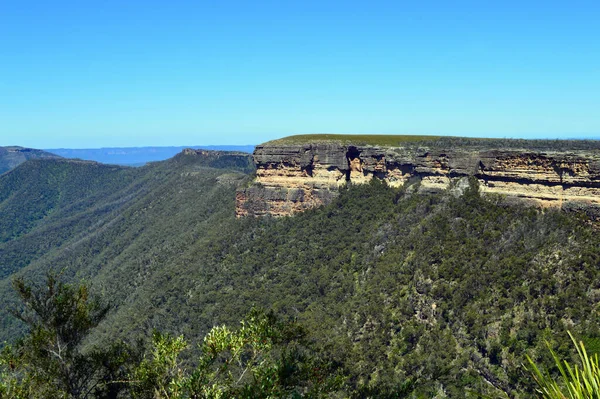 Blick Ins Tal Von Den Kanangra Walls New South Wales — Stockfoto