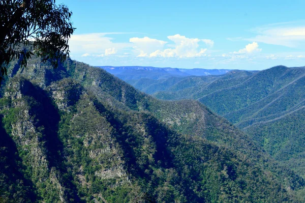 Una Vista Valle Desde Kanangra Walls Nueva Gales Del Sur —  Fotos de Stock