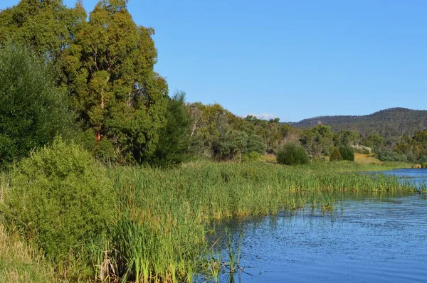 Een Uitzicht Door Lake Wallace New South Wales Australië — Stockfoto