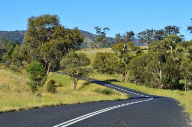 Güneşli bir yaz gününde Sodwall yakınlarında New South Wales kırsalında bir yol