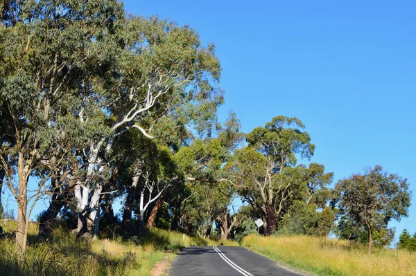 Une Route Dans Pays Près Sodwalls Nouvelle Galles Sud Australie — Photo