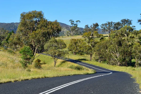 Güneşli bir yaz gününde Sodwall yakınlarında New South Wales kırsalında bir yol