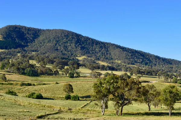 A view of pasture land in rural, New South Wales, Australia