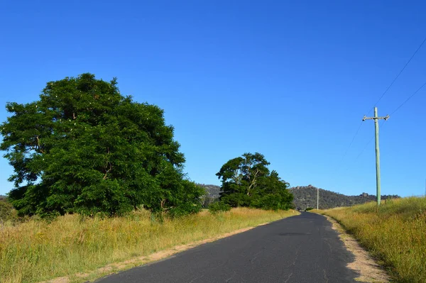 Silnice Venkovském Novém Jižním Walesu Sodwalls Slunečného Letního Dne — Stock fotografie