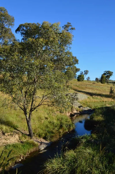 Uitzicht Snake Valley Creek Het Landelijke New South Wales Australië — Stockfoto