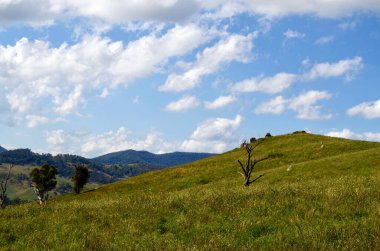 Kırsal kesimde manzara