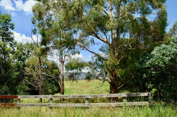 Деревянный Забор Поля Сельской Местности Австралии Хартли Новый Южный Уэльс — стоковое фото