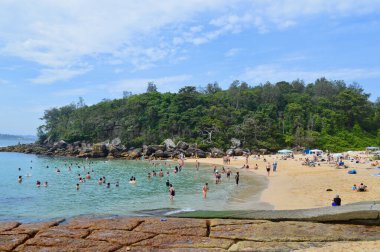 Manly, NSW 'nin Sydney sahil banliyösü yakınlarındaki Shelly Sahili manzarası