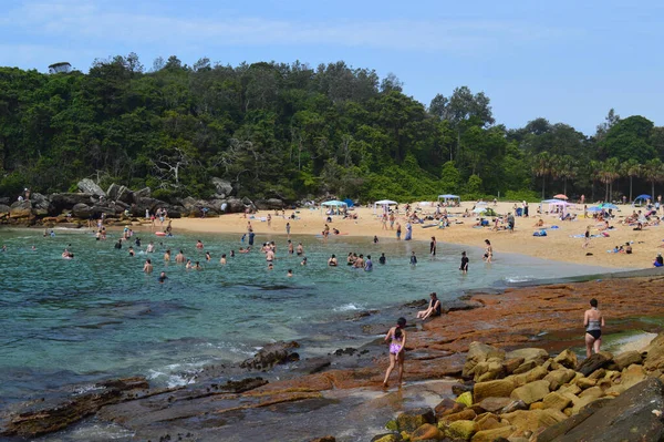 Manly, NSW 'nin Sydney sahil banliyösü yakınlarındaki Shelly Sahili manzarası