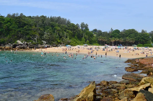 美国新南威尔士州曼利市悉尼海滨近郊的谢利海滩景观 — 图库照片