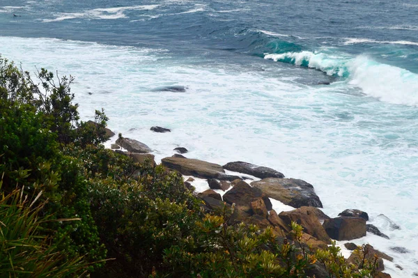 Une Vue Sur Côte Fairy Bower Près Manly Beach Sydney — Photo