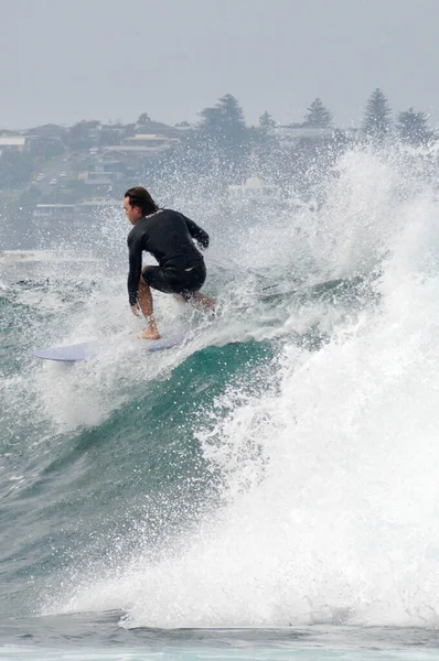 Surfař Akci Fairy Bower Poblíž Manly Beach Sydney Austrálie — Stock fotografie