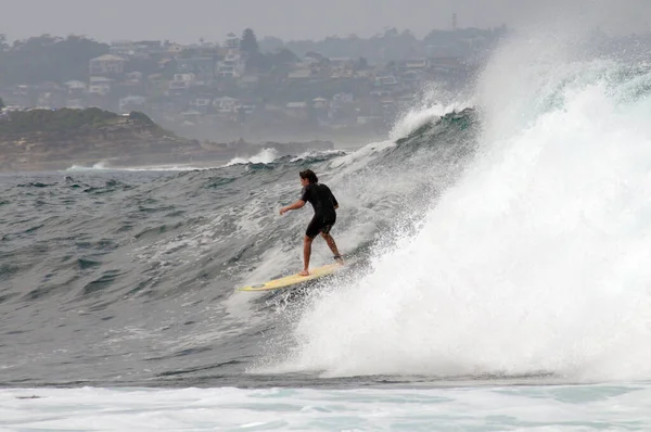 Surfista Acción Fairy Bower Cerca Manly Beach Sydney Australia — Foto de Stock