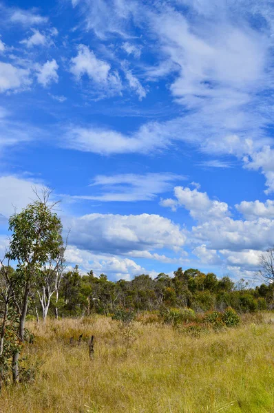 Une Vue Long Chifley Drive Près Clarence Nsw Australie — Photo