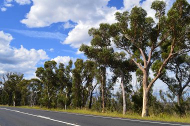 Avustralya, NSW 'de Clarence yakınlarındaki Chifley Yolu boyunca bir manzara