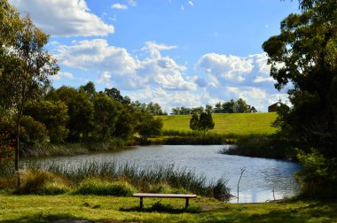 Lithgow, NSW, Avustralya yakınlarındaki Pillan Gölü 'nün sulak arazisi manzaralı.