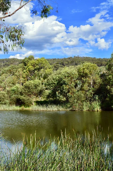 Zicht Lake Pillans Wetlands Bij Lithgow Nsw Australië — Stockfoto