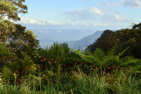 Avustralya Nın Mavi Dağları Ndaki Katoomba Vadisine Bir Manzara — Stok fotoğraf