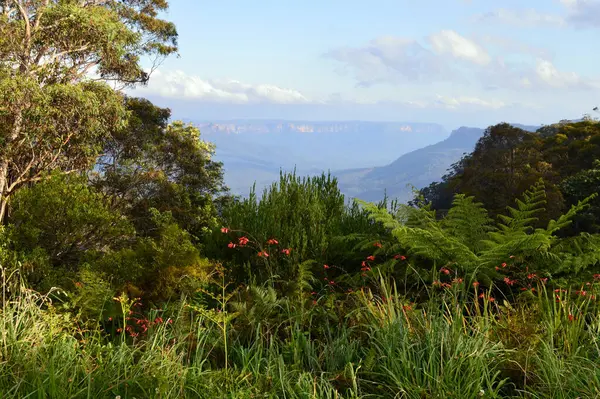Avustralya Nın Mavi Dağları Ndaki Katoomba Vadisine Bir Manzara — Stok fotoğraf