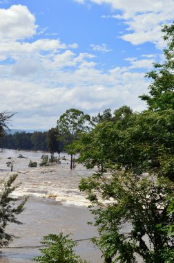 Sydney 'nin batısındaki Penrith' te Nepean Nehri 'nin taşkın manzarası