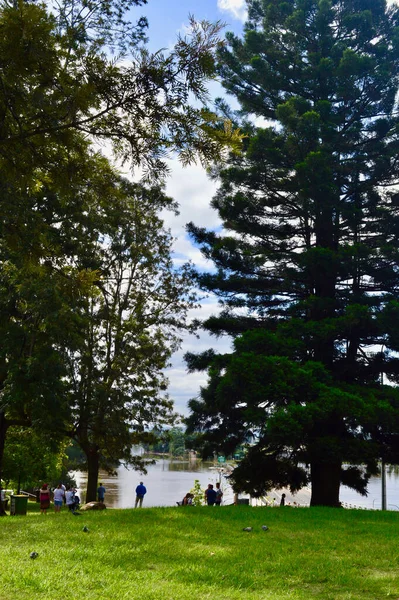 Des Gens Regardent Une Route Inondée Windsor Dans Ouest Sydney — Photo