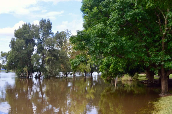 Howe Park Overstroomd Door Hawkesbury River Bij Windsor Westelijke Buitenwijken — Stockfoto