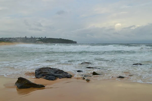 Sydney, Avustralya 'daki South Curl Sahili manzarası
