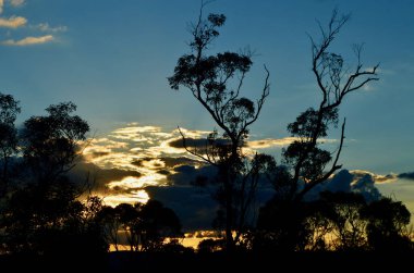 Avustralya 'nın Mavi Dağları' nda Bell 'de güneşin batışını izlemek.