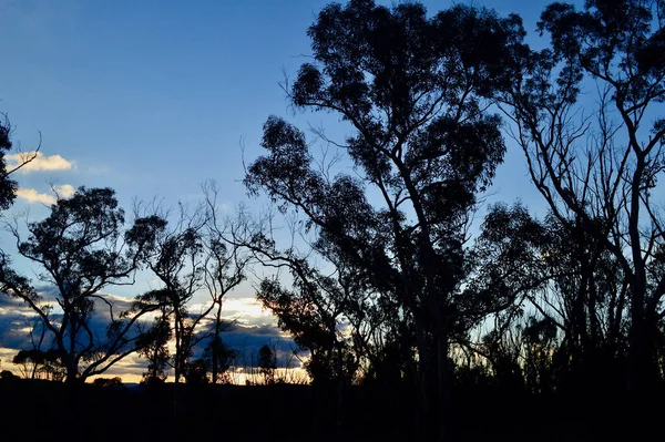 Uma Vista Pôr Sol Bell Nas Montanhas Azuis Austrália — Fotografia de Stock