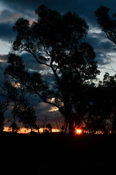 Una Vista Del Sole Che Tramonta Bell Nelle Blue Mountains — Foto Stock