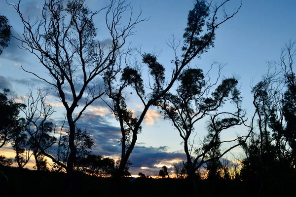 Вид Закат Солнца Белл Голубых Горах Австралии — стоковое фото