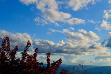 Avustralya 'nın Mavi Dağları' ndaki Medlow Hamamında bir vadi manzarası