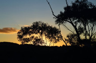 Gün batımında Mavi Dağlar 'daki Katoomba ormanının manzarası.
