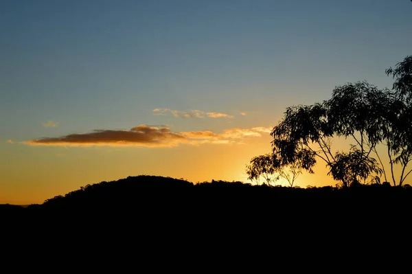 View Forest Katoomba Blue Mountains Sunset — Foto Stock