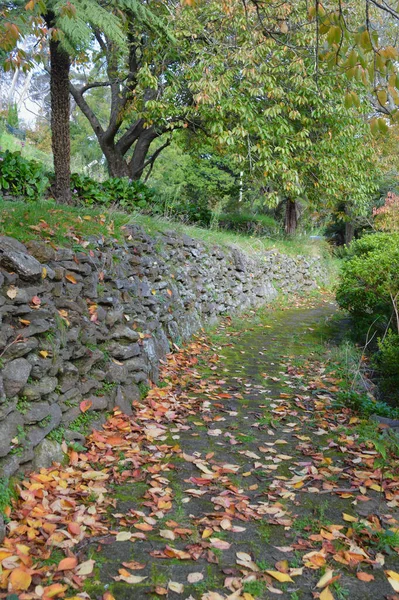 Lane Country Autumn — Stockfoto